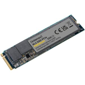 Intenso Premium 250 Go